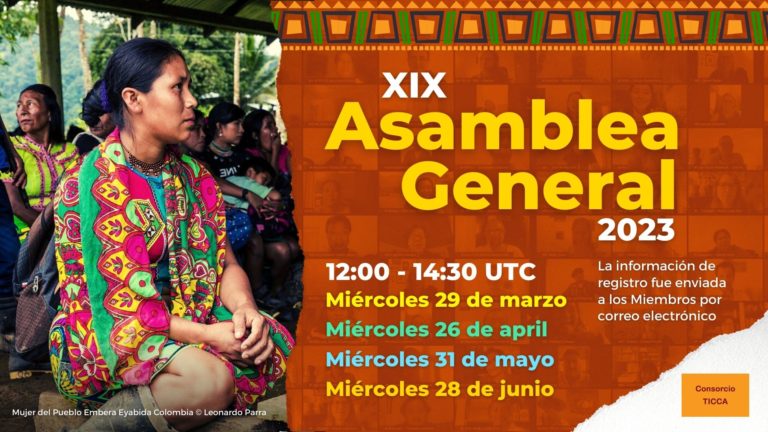 Preparación de la XIX Asamblea General (en línea)