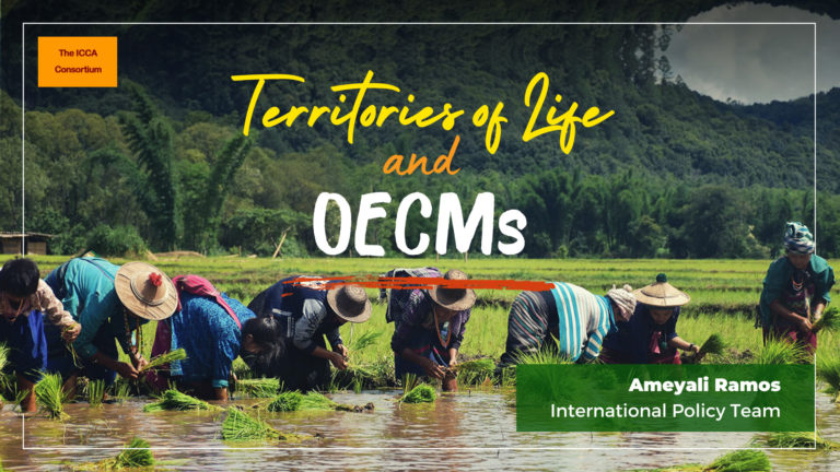 Image for Territories of life and OECMs: reflections and recommendations from in-country experience