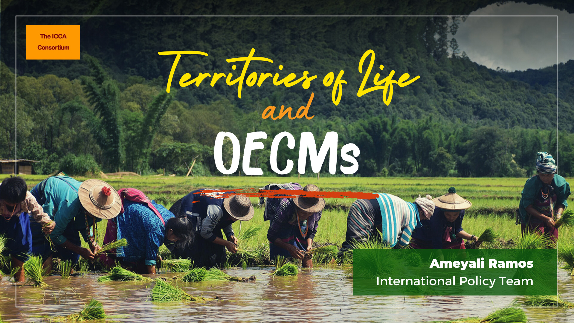 Territories of life and OECMs: reflections and recommendations from in-country experience