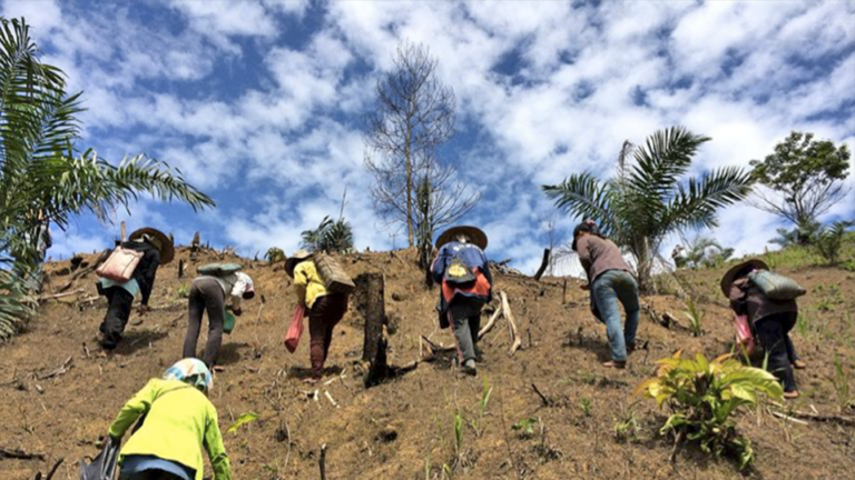 Event recap: Members’ views on the new global biodiversity framework and emerging policy and advocacy priorities