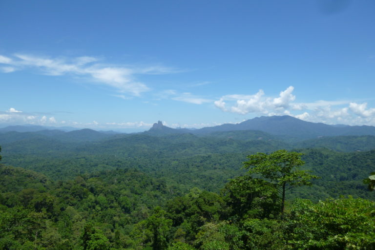 Neighbors join forces to defend their territories of life in Malaysia