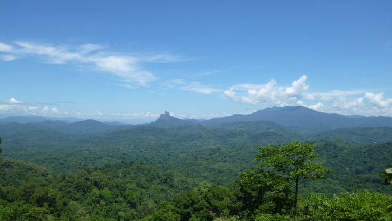 Neighbors join forces to defend their territories of life in Malaysia