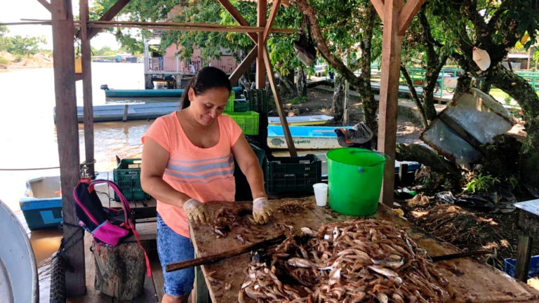 World Oceans Day: The voices of guardians of Territories of Life in Mesoamerica