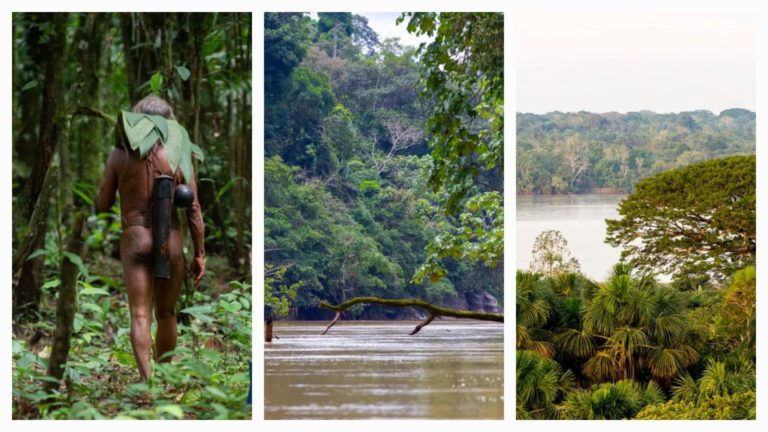 Parque Nacional Yasuní: carta abierta al pueblo ecuatoriano y al mundo