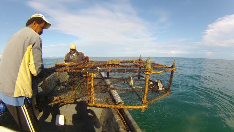 Costa Rica: III Congreso de Pescadores(as) y Molusqueros(as) Artesanales de Pequeña Escala se celebrará del 26 al 29 de septiembre