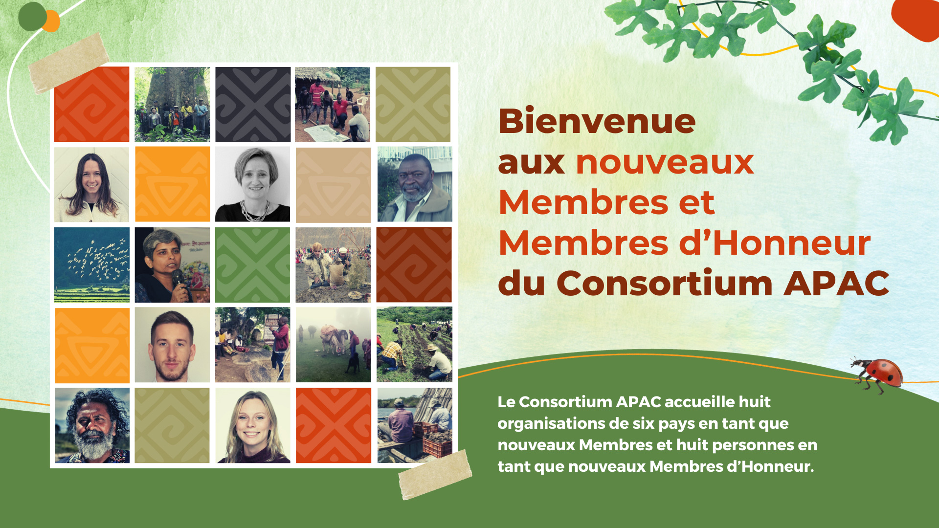 Bienvenue aux nouveaux Membres et Membres d’Honneur du Consortium APAC 