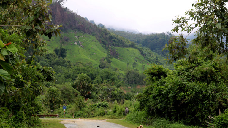 Prioritizing Indigenous Rights and Benefits: Way to Sustainable Forest Protection in Quang Nam Province