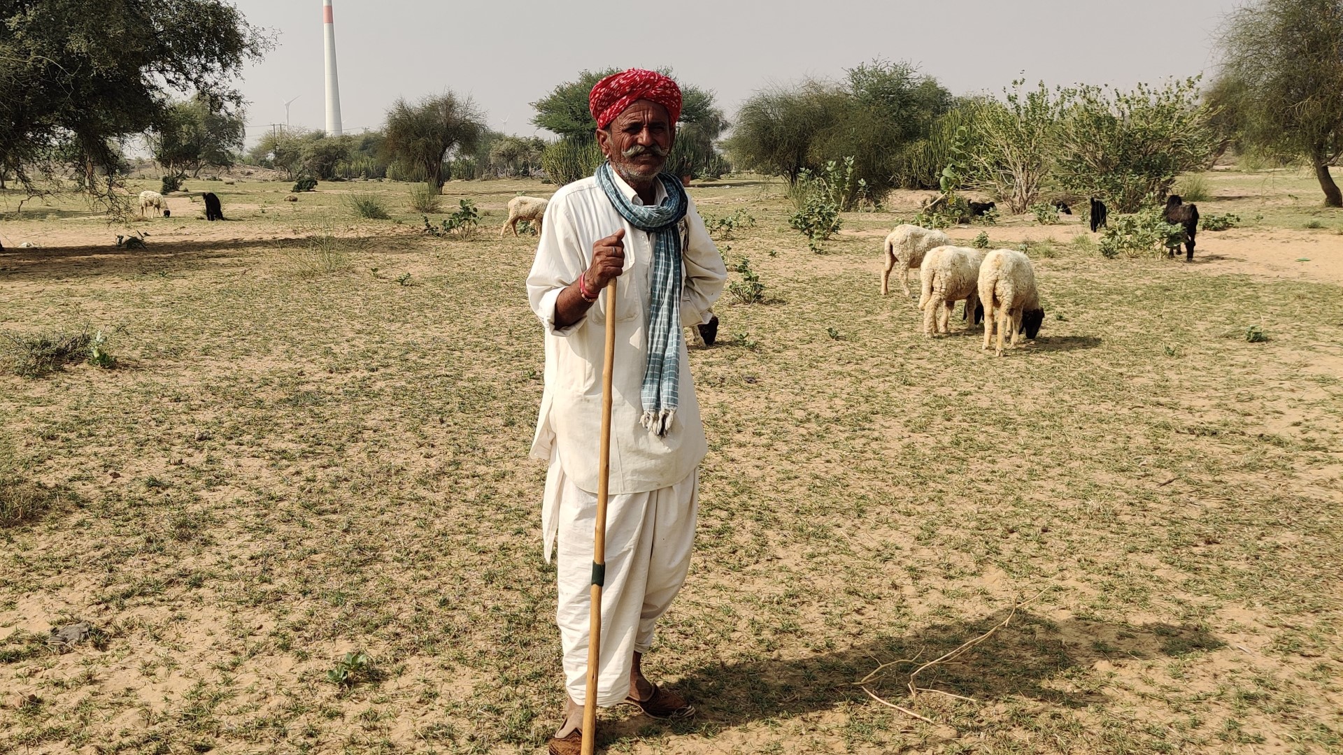 India: KRAPAVIS organizes workshop on Orans  for desert pastoralist communities