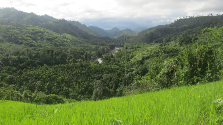 The Spirit of Paw Klo: Indigenous Communities Protect and Sustain their Ancestral Territories, Myanmar