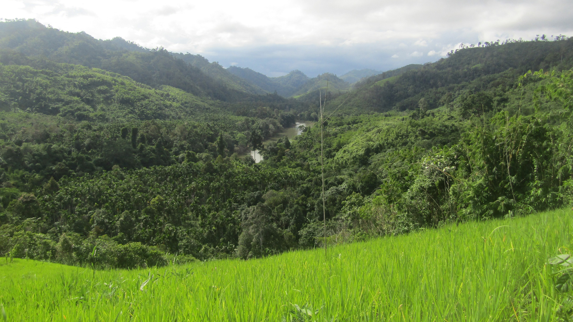 The Spirit of Paw Klo: Indigenous Communities Protect and Sustain their Ancestral Territories, Myanmar