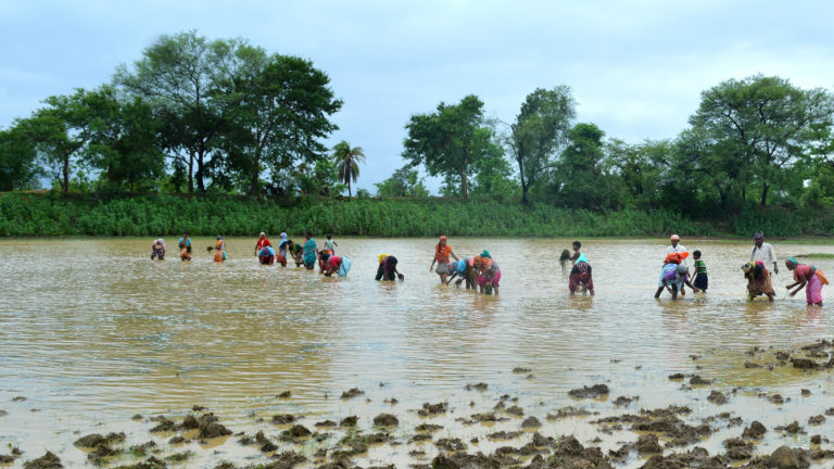 The ICCA Consortium and Indigenous Peoples’ territories of life