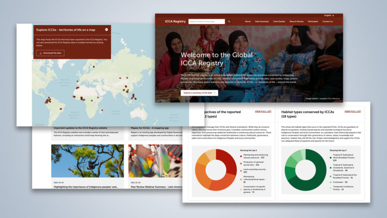 Image for Global database on conservation by Indigenous Peoples and local communities opens to the public