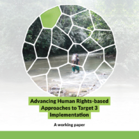 Advancing Human Rights-based Approaches to Target 3 Implementation: A ...