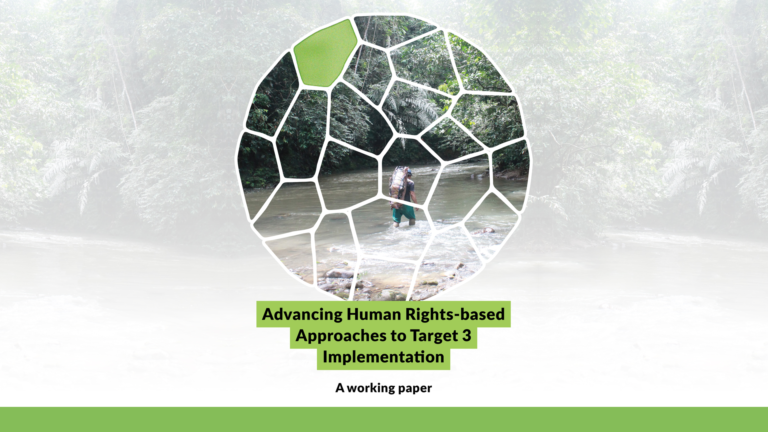 Advancing Human Rights-based Approaches to Target 3 Implementation: A working paper