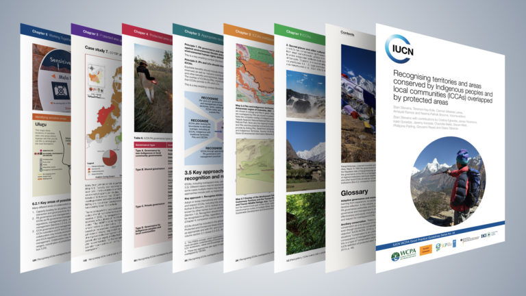New guidelines: Recognising territories and areas conserved by Indigenous peoples and local communities (ICCAs) overlapped by protected areas