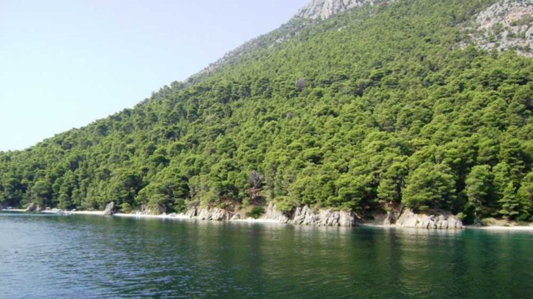 An appeal for solidarity with traditional communities of Kalamos-Kastos islands in the fight against colonial conservation
