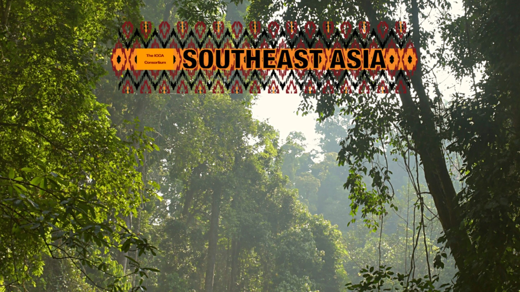 COP16 negotiations: ICCA Consortium Southeast Asia shares recommendations for ASEAN member states