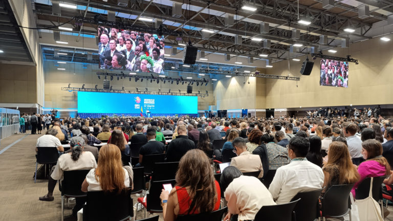 Global Biodiversity Framework: will the resources ever be mobilized to achieve the 2030 targets?