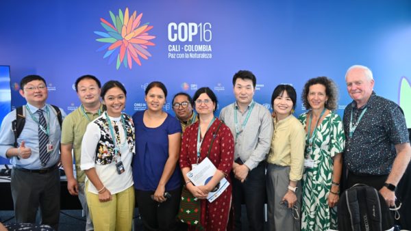Exploring Voluntary Commitments by Non-state Actors in Advancing OECMs: Insights from China and International Perspectives
