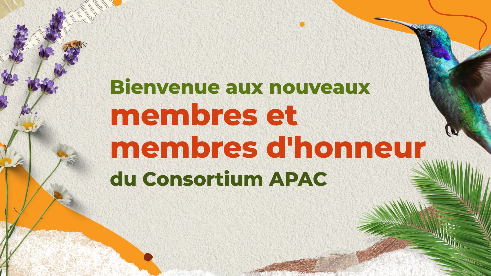 Bienvenue aux nouveaux membres et membres d’honneur du Consortium APAC