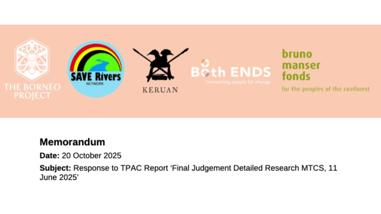 Global alliance urges Dutch government to reconsider endorsement of controversial timber certification scheme