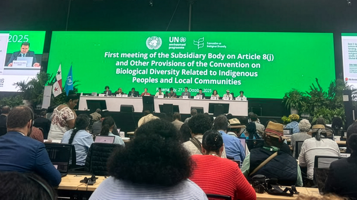 Indigenous Peoples and Local Communities at CBD SB8j-1