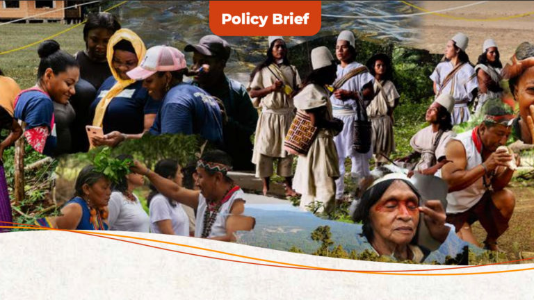 Territories of life: Proposals for the care and protection of environmental human rights defenders