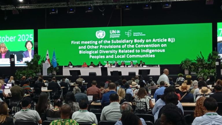 Indigenous Peoples and Local Communities at CBD SB8j-1