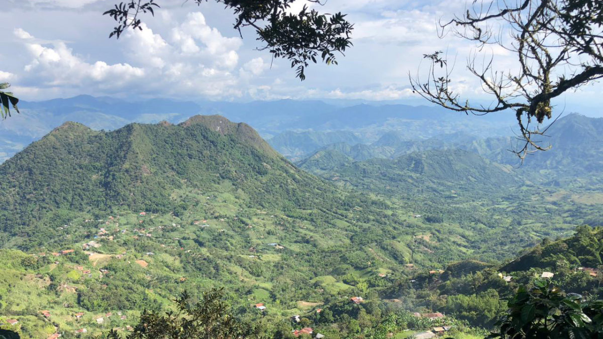 Nueva coordinación de la subregión Amazonía