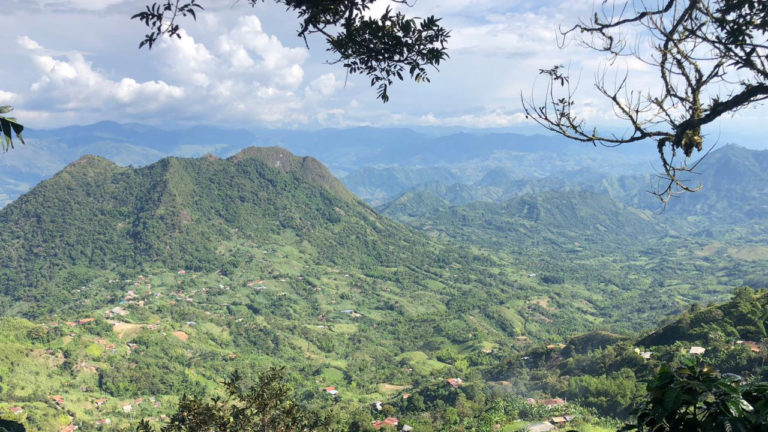 Image for Nueva coordinación de la subregión Amazonía