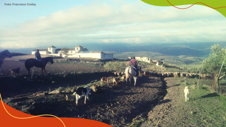 Convocatoria para compartir historias sobre los territorios de vida pastoriles desde la comunidad del Consorcio TICCA