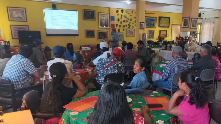 Paraguay: Fortalecimiento jurídico y formalización de organizaciones indígenas para la defensa de los territorios de vida