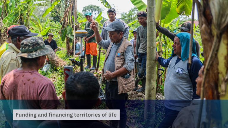 The Role of Intermediaries in Enabling Direct Funding for Indigenous Peoples and Local Communities