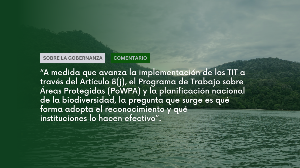 El reconocimiento es solo el comienzo: los Territorios Indígenas y Tradicionales después de la Meta 3 del Marco Mundial de la Diversidad Biológica
