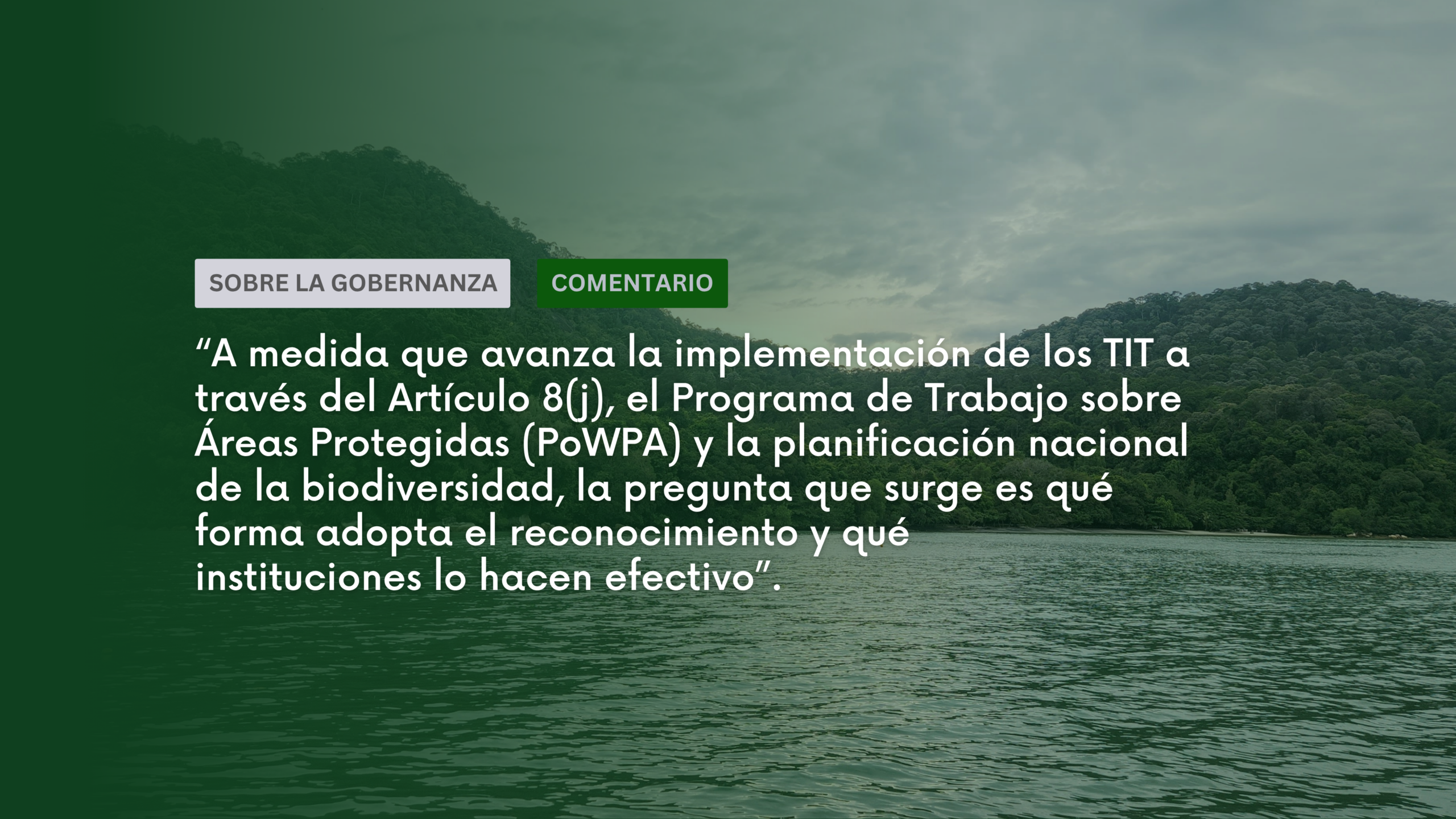 El reconocimiento es solo el comienzo: los Territorios Indígenas y Tradicionales después de la Meta 3 del Marco Mundial de la Diversidad Biológica