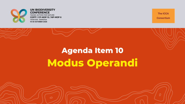 Statement on the CBD COP17 Agenda Item 10: Modus Operandi