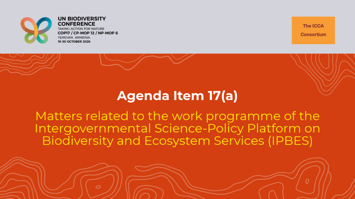 Statement on the CBD COP17 Agenda Item 17(a): Matters related to the work programme of the Intergovernmental Science-Policy Platform on Biodiversity and Ecosystem Services (IPBES)