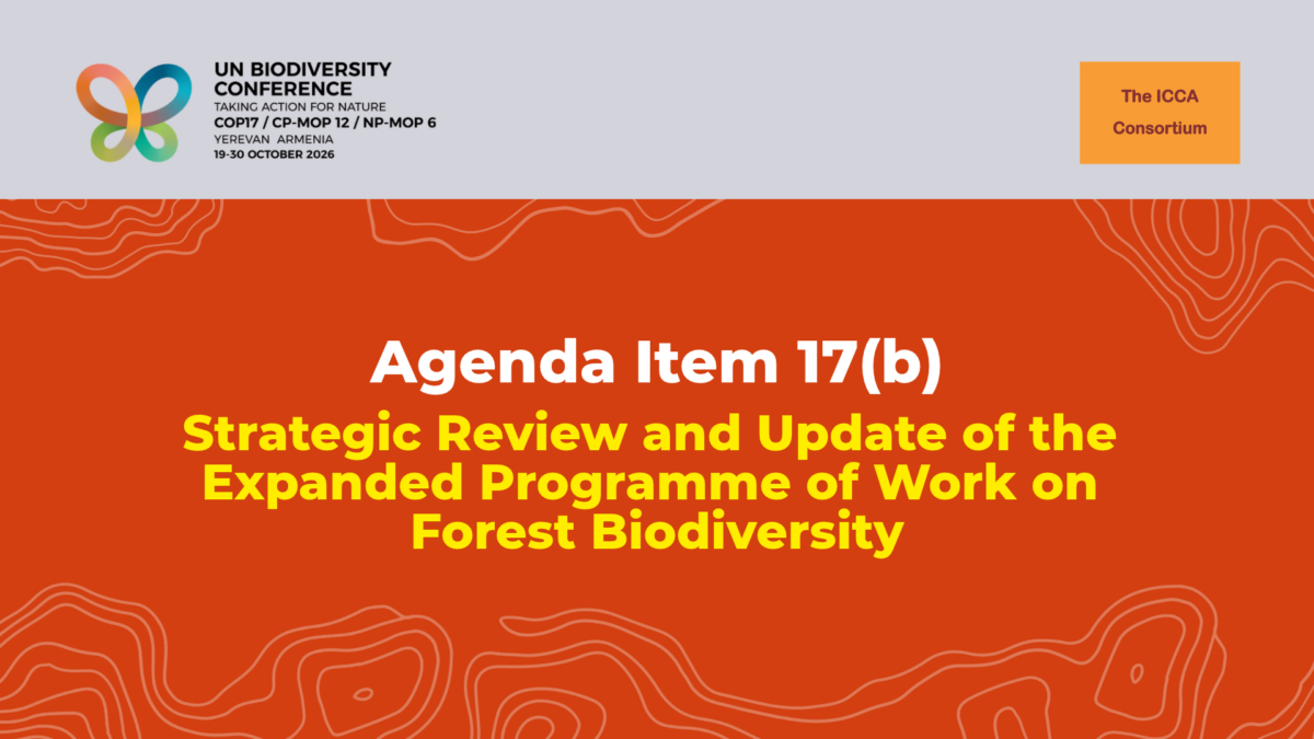 Statement on the CBD COP17 Agenda Item 17(b): Strategic Review and Update of the Expanded Programme of Work on Forest Biodiversity