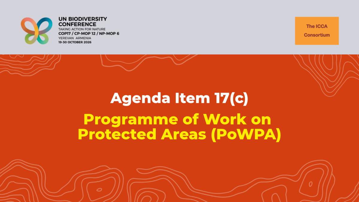 Statement on the CBD COP17 Agenda Item 17(c): Programme of Work on Protected Areas (PoWPA)