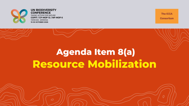 Image for Statement on the CBD COP17 Agenda Item 8(a): Resource Mobilization