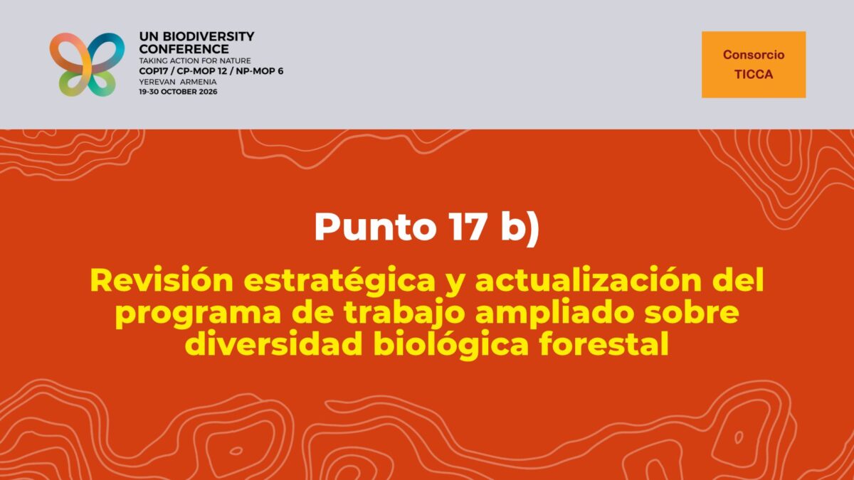 Declaración sobre el punto 17 b) del programa de la COP17 del CDB: Revisión estratégica y actualización del programa de trabajo ampliado sobre diversidad biológica forestal