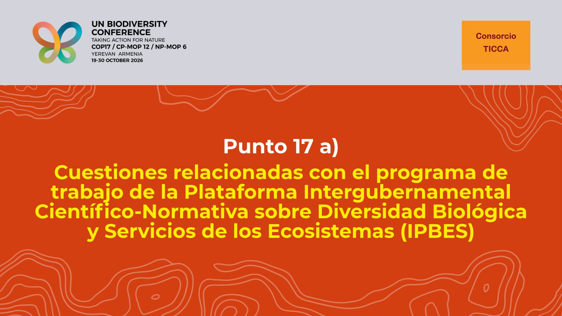 Declaración sobre el tema 17 del programa de la COP17 del CDB: Cuestiones relacionadas con el programa de trabajo de la Plataforma Intergubernamental Científico-Normativa sobre Diversidad Biológica y Servicios de los Ecosistemas (IPBES)