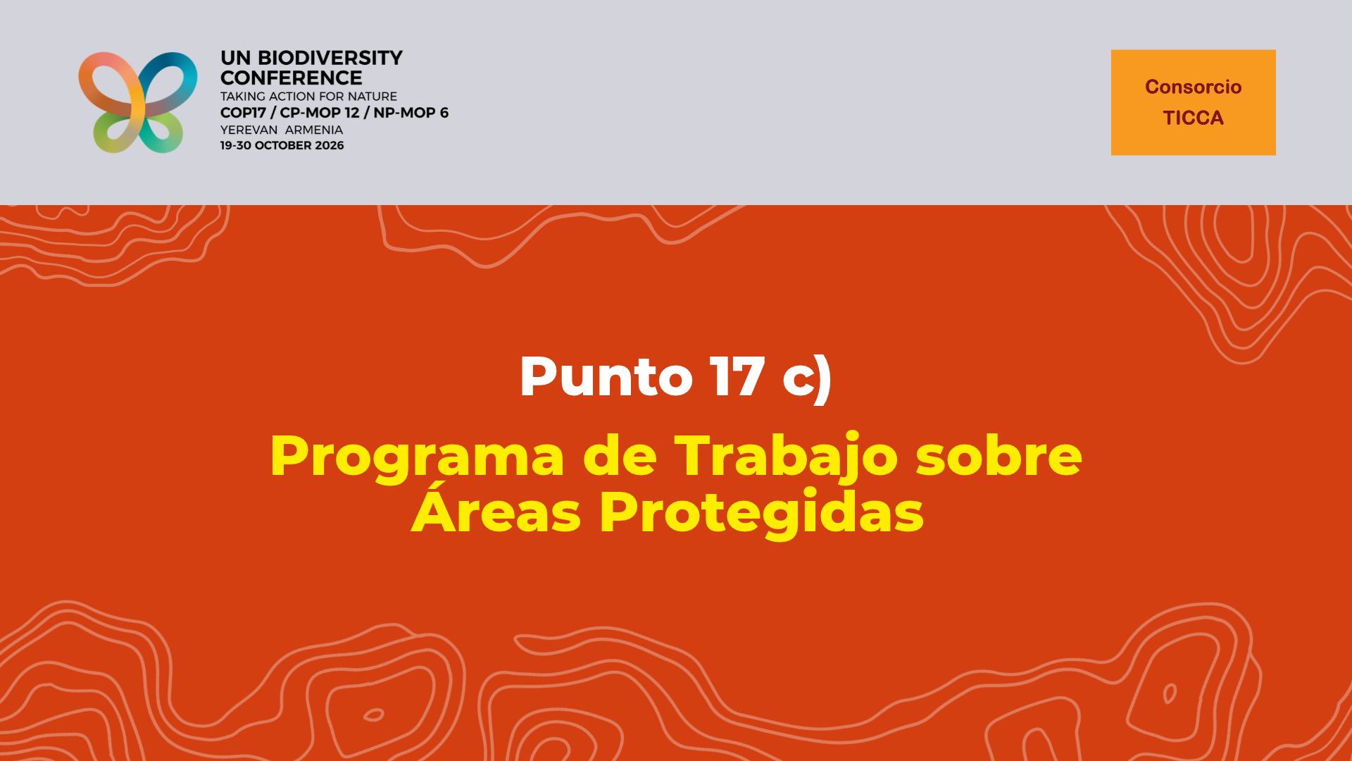 Declaración sobre el tema 17 c) del programa de la COP17 del CDB: Programa de Trabajo sobre Áreas Protegidas