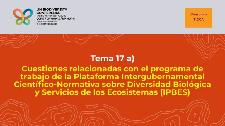 Declaración sobre el tema 17 del programa de la COP17 del CDB: Cuestiones relacionadas con el programa de trabajo de la Plataforma Intergubernamental Científico-Normativa sobre Diversidad Biológica y Servicios de los Ecosistemas (IPBES)