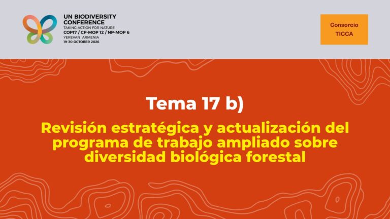 Declaración sobre el tema 17 b) del programa de la COP17 del CDB: Revisión estratégica y actualización del programa de trabajo ampliado sobre diversidad biológica forestal