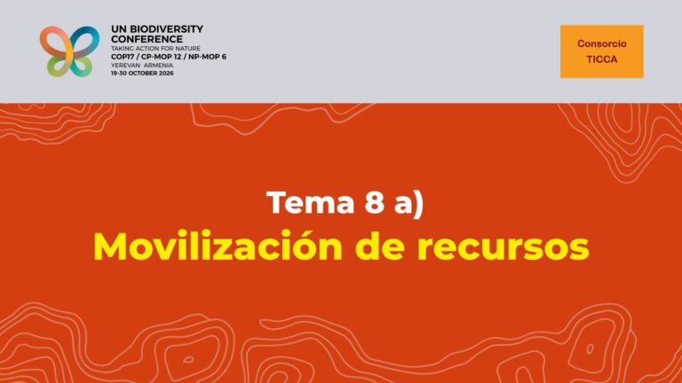 Declaración sobre el tema 8 a) del programa de la COP17 del CDB: Movilización de recursos