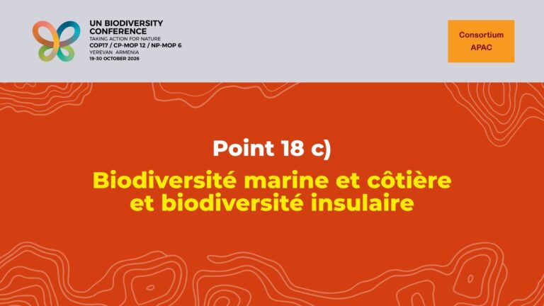 Déclaration du Consortium APAC sur le point 18(c) de l&rsquo;ordre du jour de la COP 17 de la CDB : Biodiversité marine et côtière et biodiversité insulaire