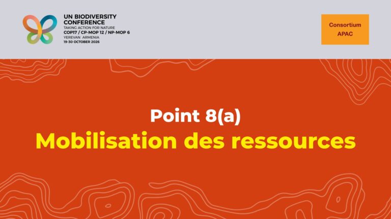 Déclaration sur le point 8(a) de l’ordre du jour : mobilisation des ressources à la COP 17 de la CDB