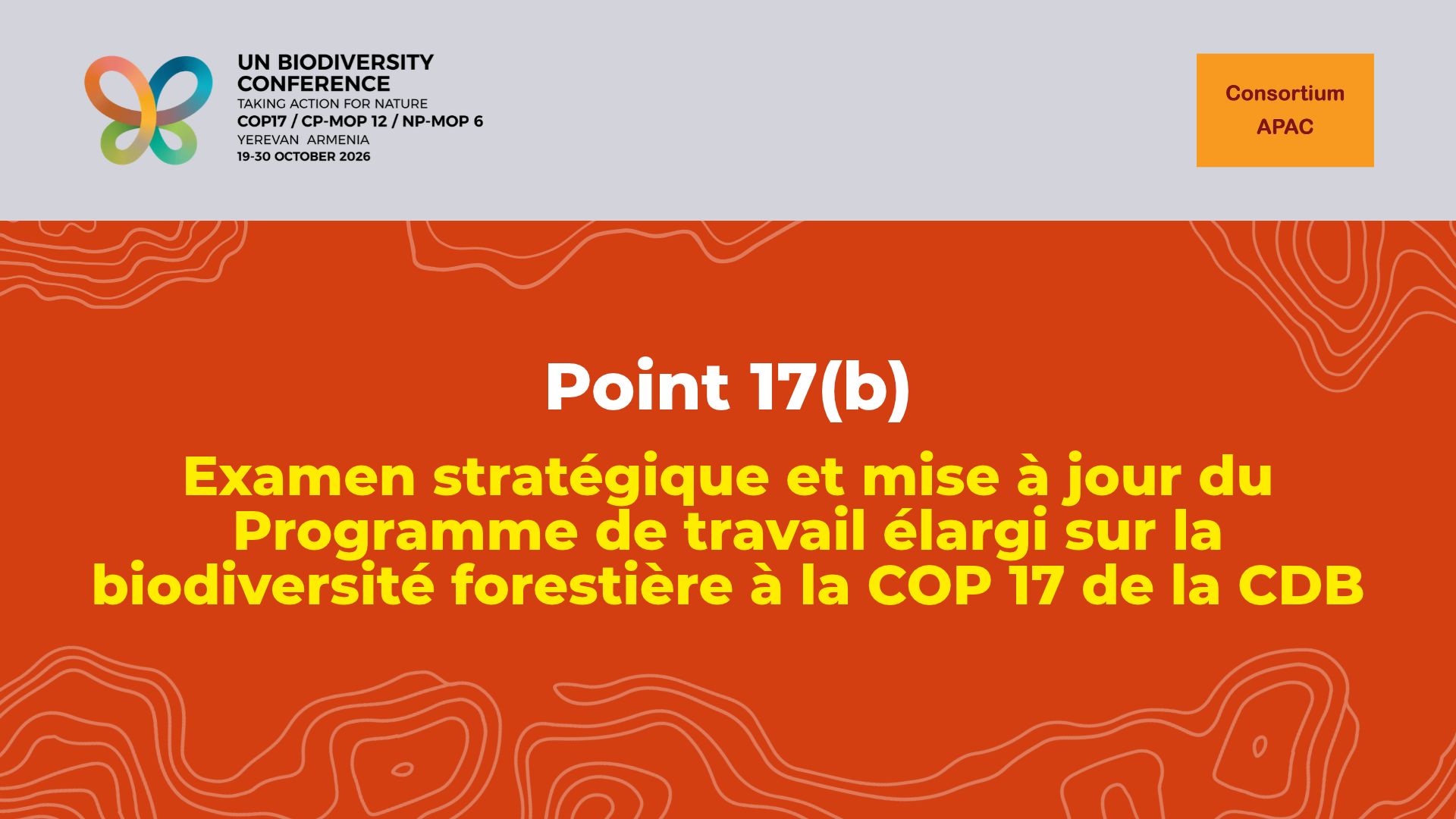 Déclaration sur le point 17(b) de l&rsquo;ordre du jour : examen stratégique et mise à jour du Programme de travail élargi sur la biodiversité forestière à la COP 17 de la CDB