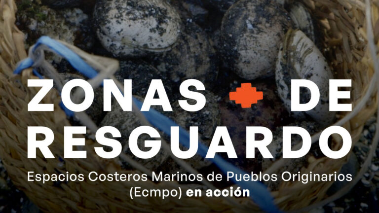 Zonas de Resguardo: cuando el mar también tiene gobernanza indígena